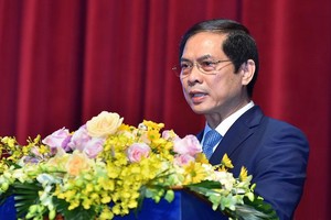 Bộ trưởng Ngoại giao Bùi Thanh Sơn khẳng định, trong thành tựu chung của hoạt động đối ngoại, có đóng góp quan trọng của đối ngoại địa phương (Ảnh: Tuấn Anh/TG&VN)