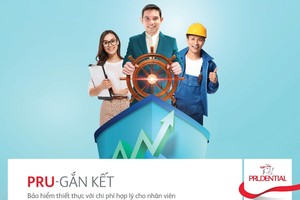 PRU-Gắn Kết là một giải pháp “làm đầy” chế độ phúc lợi dành cho nhân viên.