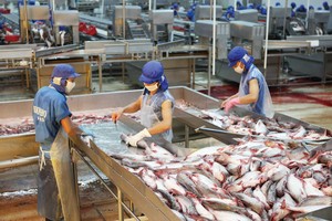 Thị trường xuất khẩu đang rất thuận lợi với các doanh nghiệp chế biến thủy sản.