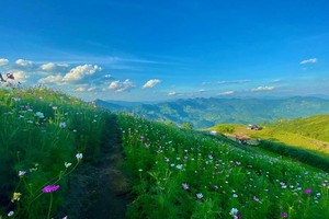 Cao nguyên Mù Là mùa xuân về.