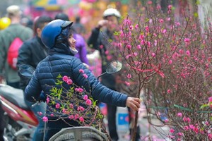 (Ảnh minh họa: PV/Vietnam+)