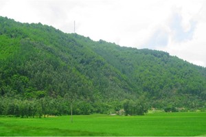 Quang cảnh khu vực Tây Nam núi Linh Trường, huyện Hoằng Hóa.