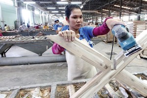 Gỗ Trường Thành (TTF): Áp lực pha loãng