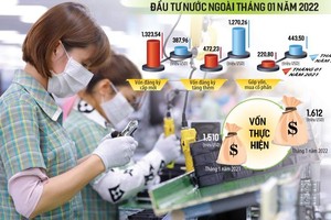 Rất nhiều nhà đầu tư nước ngoài đã tìm thấy cơ hội đầu tư hấp dẫn tại Việt Nam và quyết định dốc thêm vốn vào địa điểm đầu tư này. Ảnh: Đức Thanh. Đồ họa: Đan Nguyễn.