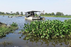 Dự án khơi thông sông Cổ Cò đang được TP. Đà Nẵng và tỉnh Quảng Nam đẩy nhanh tiến độ.