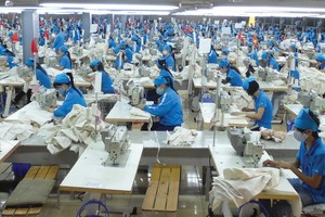 TNG đang lo lắng với đơn hàng xuất khẩu sang Nga trị giá 12,5 triệu USD.