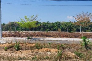 Nhiều khu đất phân lô, bán nền rồi bỏ hoang hóa, gây lãng phí tài nguyên đất đai ở tỉnh Kon Tum. Ảnh: P.V