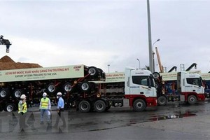 (Ảnh minh họa: Trần Tĩnh/TTXVN)