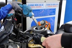Mua bán xăng dầu tại cửa hàng kinh doanh xăng dầu Petrolimex trên đường Trần Quang Khải, Hà Nội. (Ảnh: Trần Việt/TTXVN)