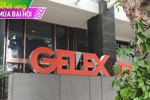 Gelex (GEX) đặt kế hoạch tăng trưởng kép 2 con số, tập trung vào sản xuất công nghiệp và hạ tầng