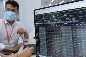 Các cổ phiếu có yếu tố cơ bản tốt đang thu hút sự quan tâm của dòng tiền.