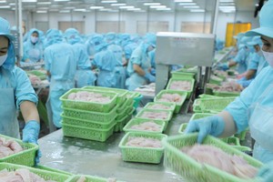 Ngành thủy sản đang đứng trước cơ hội lớn từ thị trường.