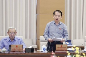 Chủ nhiệm Ủy ban Pháp luật của Quốc hội Hoàng Thanh Tùng trình bày báo cáo thẩm tra. (Ảnh: Doãn Tấn/TTXVN).