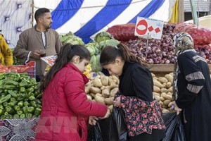 Ảnh minh họa. (Nguồn: AFP/TTXVN).
