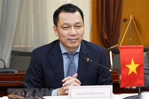 Thứ trưởng Bộ Công Thương Đặng Hoàng An. (Ảnh: Trần Việt/TTXVN).