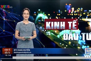 Bản tin Kinh tế đầu tư trên sóng truyền hình của kênh VTV8