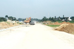 Ảnh: Thành Nguyễn