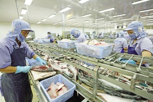 Thủy sản là ngành dính nhiều vụ kiện phòng vệ thương mại, nhưng các doanh nghiệp đã vượt qua. Ảnh: Đức Thanh.