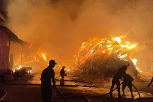 Các chiến sĩ nỗ lực dập lửa (Ảnh: Nguyễn Duy).