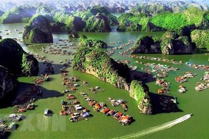 Ảnh minh họa (Nguồn: AFP/TTXVN)