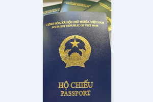 Cuốn hộ chiếu kiểu mới (màu xanh tím than) so với các cuốn hộ chiếu cũ màu xanh. (Ảnh: Mạnh Hùng/TTXVN).