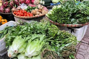 Mặt hàng rau xanh đang tăng ở các chợ trên địa bàn thành phố Hà Nội. (Ảnh: PV/Vietnam+).