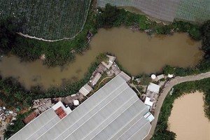 Lâm Đồng xử lý nghiêm đơn vị để xảy ra vi phạm hành lang hồ thủy lợi