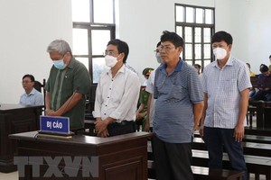 Các bị cáo tại phiên xét xử. (Ảnh: Nguyễn Thành/TTXVN).