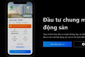Dấu hỏi với "mua chung bất động sản" trên Infina