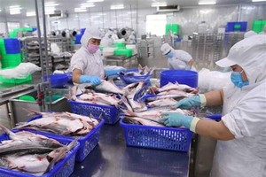 Hàng hóa Việt Nam xuất khẩu sang UAE chủ yếu là mặt hàng nông sản, thủy sản, hoa quả tươi, thực phẩm chế biến... (Nguồn: Vũ Sinh/TTXVN).