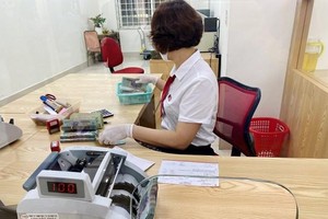 Ngân hàng sẽ tập trung vốn vào lĩnh vực ưu tiên. (Ảnh: Vietnam+)