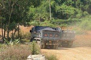 Người dân phản ánh đoàn xe chở đất gây bụi ảnh hưởng đến môi trường. Ảnh: Thanh Chung.