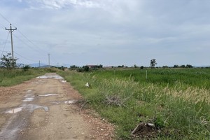 Khu vực dự án bị thu hồi sau 5 năm không triển khai đúng nội dung cam kết.