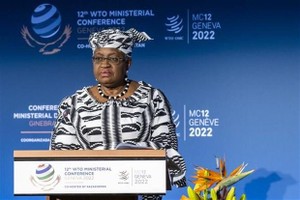Tổng giám đốc Tổ chức Thương mại Thế giới (WTO) Ngozi Okonjo-Iweala. (Ảnh: AFP/TTXVN)
