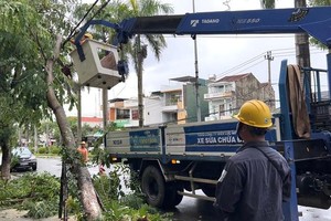 Khắc phục sự cố sau bão tại Quảng Ngãi để cung cấp điện trở lại cho người dân.