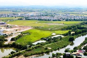 Khu đất dự án Khu đô thị Dầu khí Nghệ An, do Công ty Cổ phần Đầu tư và Thương mại dầu khí Nghệ An (PVIT) làm chủ đầu tư với tổng mức đầu tư 1.200 tỷ đồng, quy mô gần 15ha đã đầu tư 10 năm nhưng không triển khai.