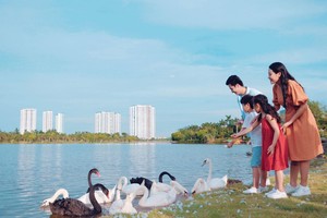 Các dự án thân thiện với môi trường có lợi thế trong gọi vốn.