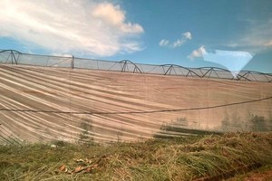 Dự án nhà màng tại Đồng Nai.