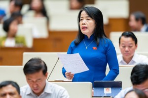 Đại biểu Nguyễn Thị Kim Thúy (đoàn TP. Đà Nẵng).