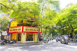 Habeco: Kết quả kinh doanh quý 3/2022 cao nhất 2 năm