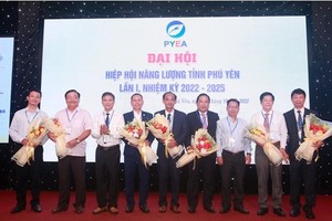 Hiệp hội năng lượng tỉnh Phú Yên được thành lập với 7 thành viên.