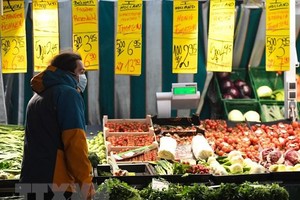 Khách hàng lựa chọn mua hàng hoá trong siêu thị ở Frankfurt, Đức ngày 19/1/2022. (Ảnh: THX/TTXVN)