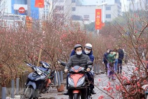 Chính phủ đã quyết định phương án nghỉ Tết Quý Mão năm 2023. (Ảnh minh hoạ: Tuấn Anh/TTXVN).