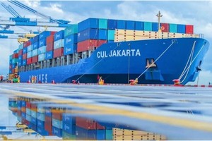Tàu container CUL Jakarta vận hành bởi CU Lines, một hãng vận tải container ngoài hiệp hội Nguồn: splash247.com.