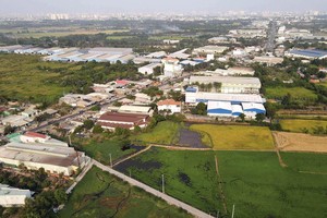 Đất nông nghiệp “loang lổ” ở huyện Bình Chánh (TP.HCM).