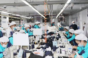 TNG đang nỗ lực đa dạng hóa khách hàng.