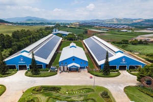 Cổ phiếu cần quan tâm ngày 5/2