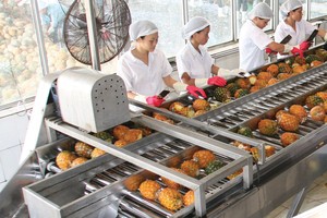 Lợi nhuận của Afiex chủ yếu tới từ hoạt động kinh doanh nông, lâm, thủy sản.