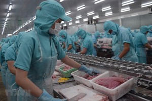 Quy trình sản xuất tại một cơ sở chế biến thủy sản của tỉnh Đồng Tháp. (Ảnh: Chương Đài/TTXVN)