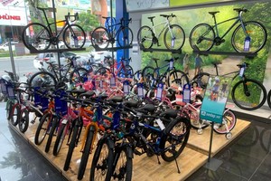 Thị trường xe đạp Việt Nam hiện sôi nổi nhất là phân khúc trẻ em.